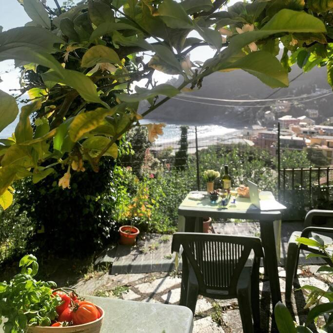 דירות בונאסולה Cozy Beach House With Nice Garden, Basic Feel מראה חיצוני תמונה